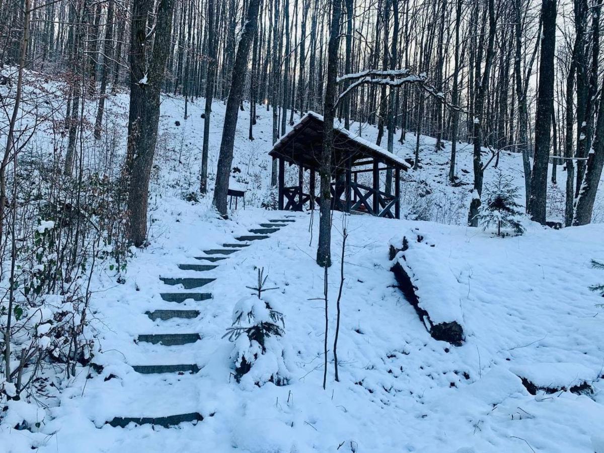 Chalet Vedmezhe Polyana  Eksteriør billede